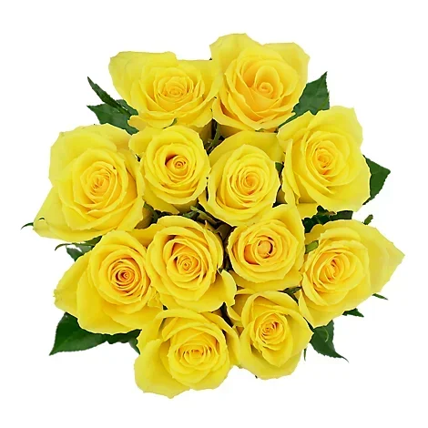 slide 1 of 1, Yellow Orange Rose Bouquet 12 Stem - Each, 1 ct