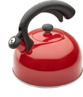 Good Cook Tea Kettle