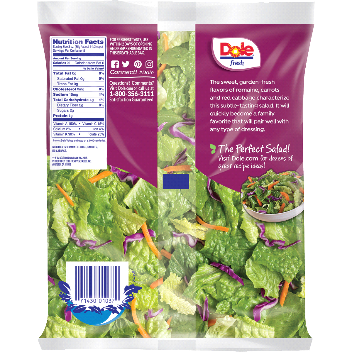 Dole Family Size Salad Kit, Classic Romaine 15 oz | Shipt
