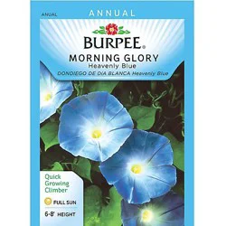 Burpee Morning Glory Heavenly Blue