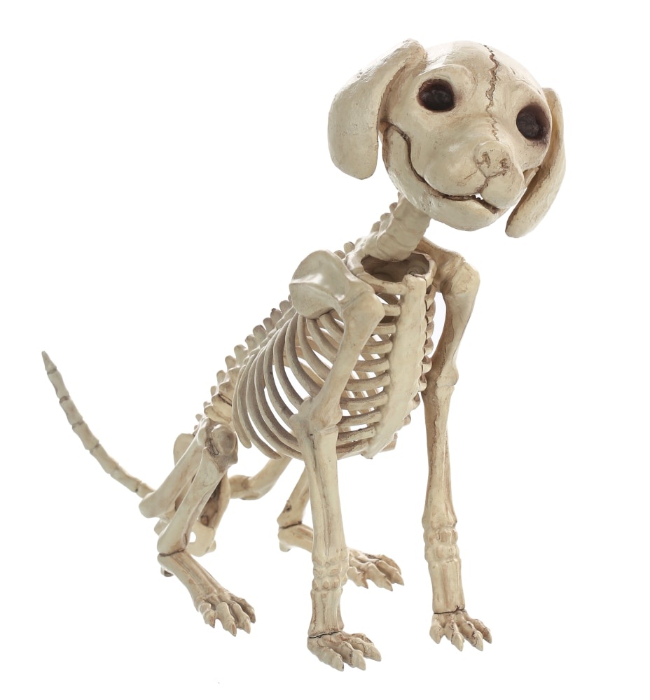 slide 1 of 1, Holiday Home Skeleton Sitting Puppy Decor, 7.5 in