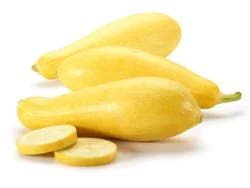 Squash Yellow