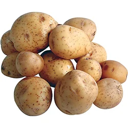 Cal-Organic Farms Potato Yukon Gold 5lb Bag Organic