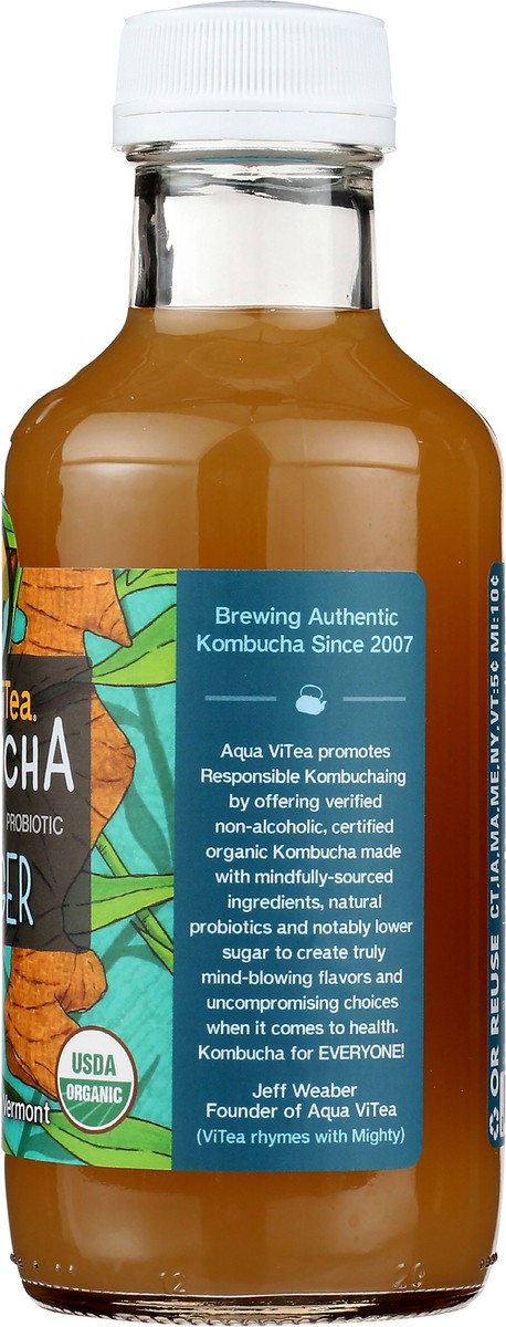 slide 7 of 10, Aqua ViTea Ginger - 16 fl oz, 16 fl oz