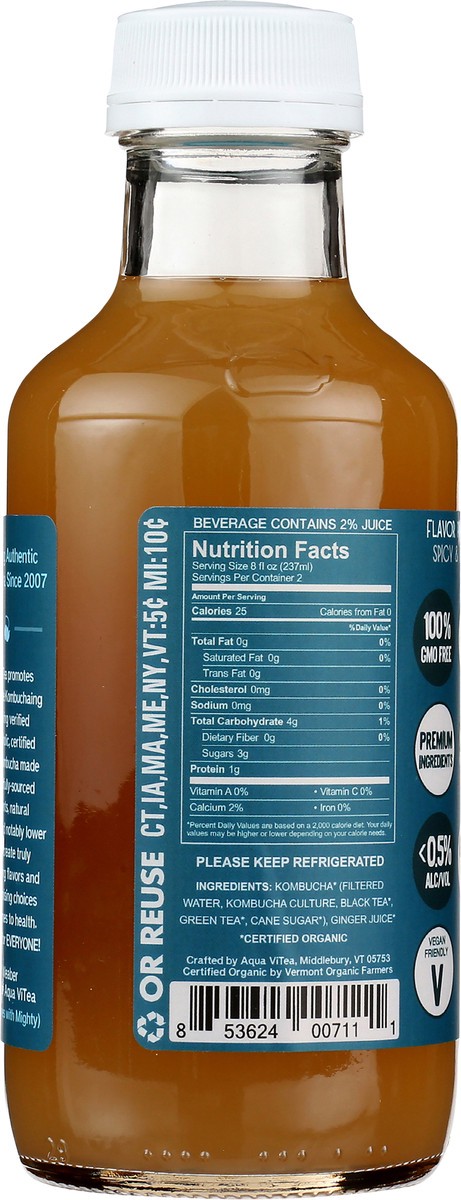 slide 2 of 10, Aqua ViTea Ginger - 16 fl oz, 16 fl oz