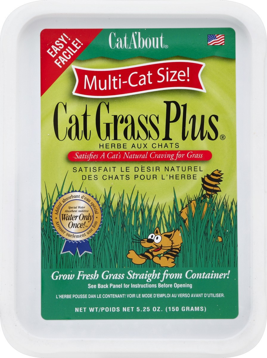 slide 4 of 4, Cat About Cat Grass Plus 5.25 oz, 5.25 oz