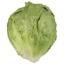 Fresh Organic Iceberg Lettuce