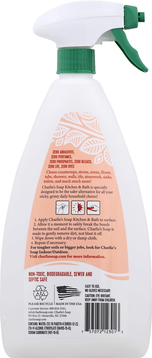 slide 8 of 11, Charlie's Soap Kitchen & Bath Household Cleaner 32 oz, 32 oz