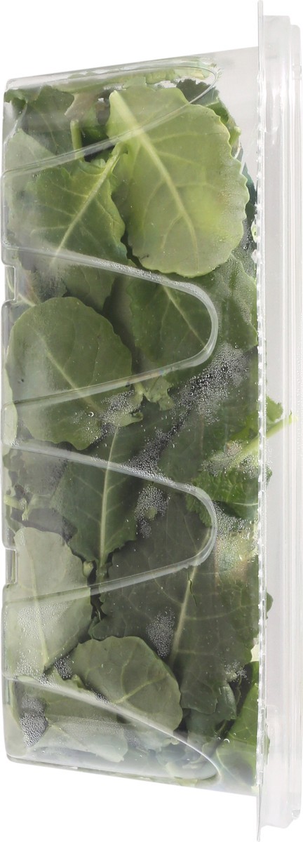 slide 2 of 14, Olivia's Organic Baby Kale Salad, 5 oz