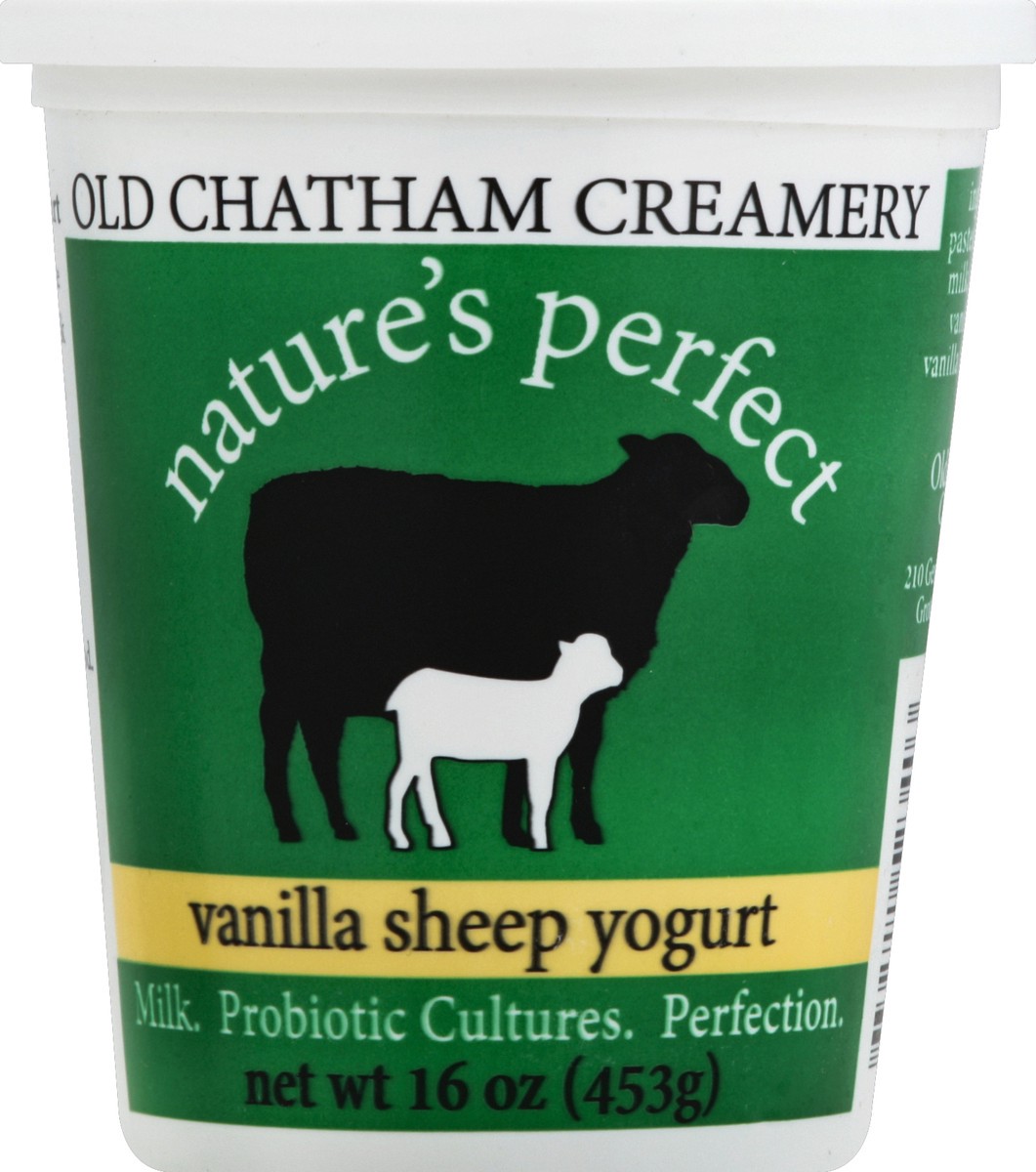 slide 3 of 3, Old Chatham Creamery Yogurt 16 oz, 16 oz