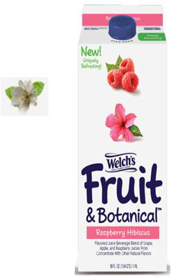 slide 1 of 1, Welch's Fruit & Botanical Juice Beverage Blend, Raspberry Hibiscus - 59 oz, 59 oz