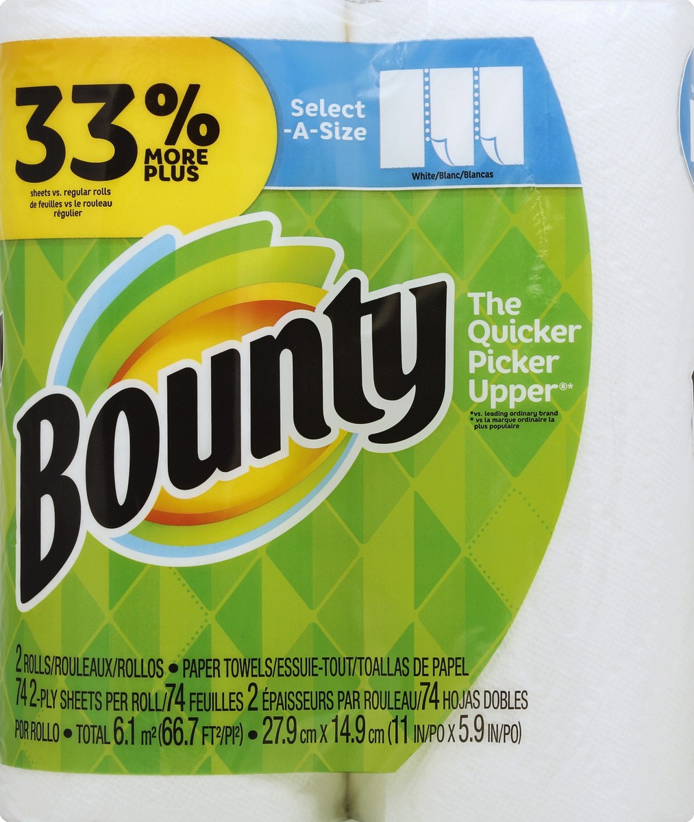 slide 4 of 4, Bounty Paper Towels 2 ea, 2 ct