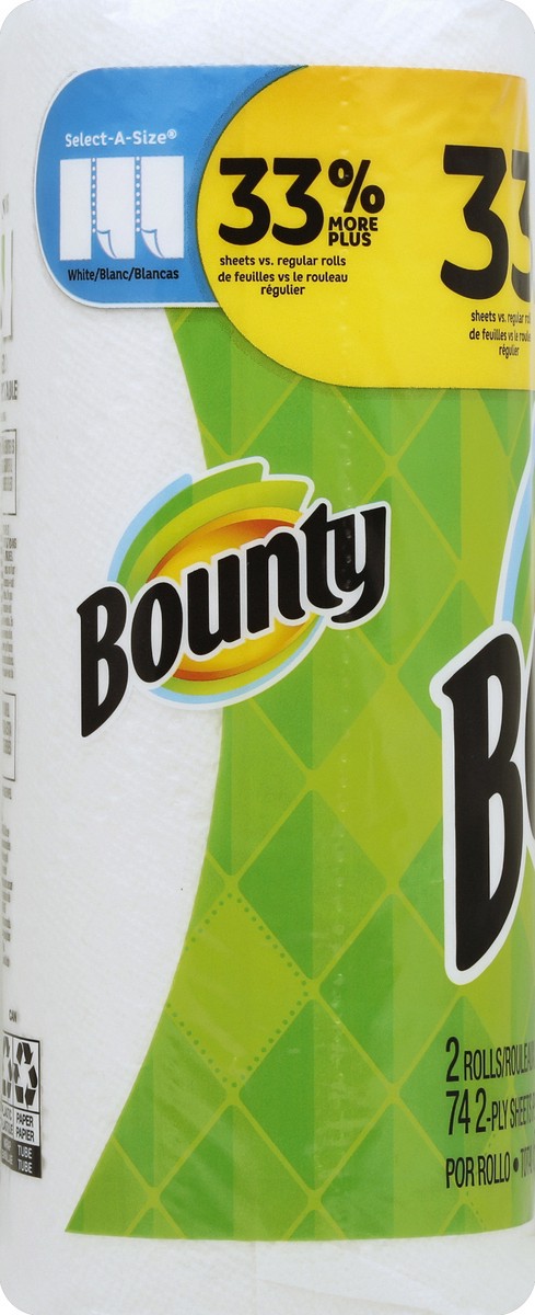 slide 2 of 4, Bounty Paper Towels 2 ea, 2 ct