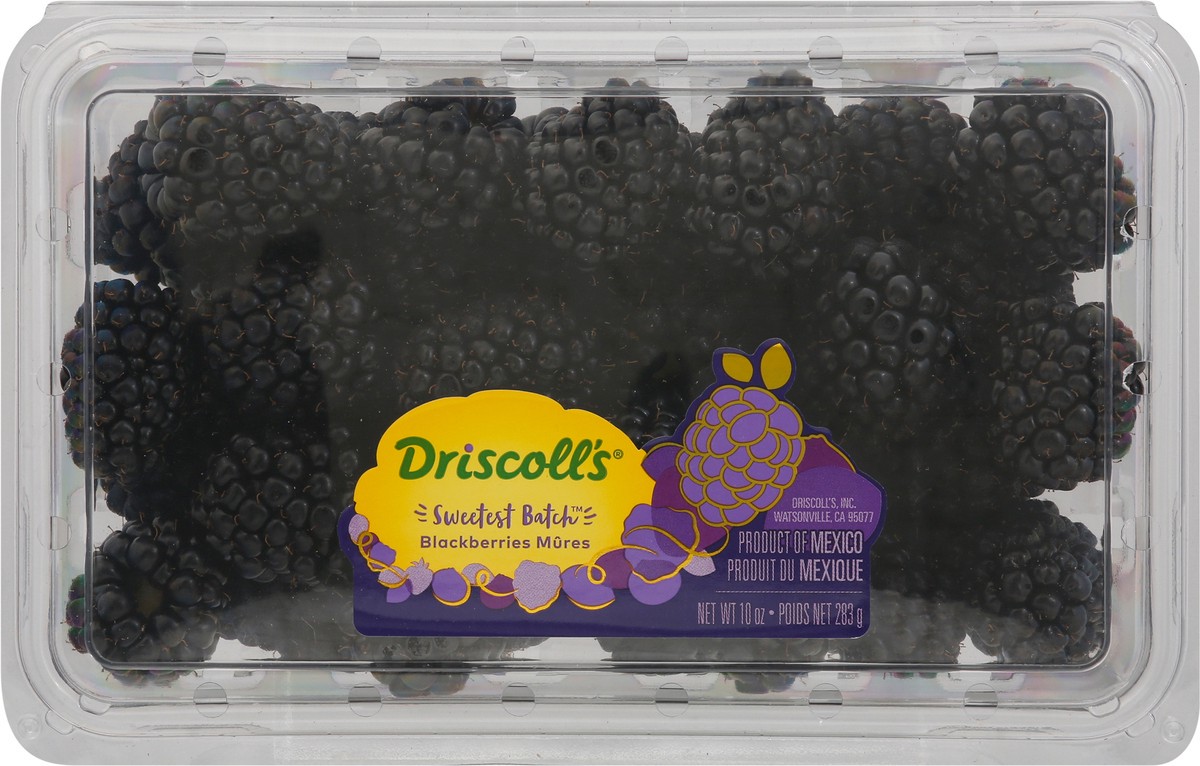 slide 6 of 9, Driscoll's Driscolls Sweetest Batch Blackberries - 10 OZ, 10 oz