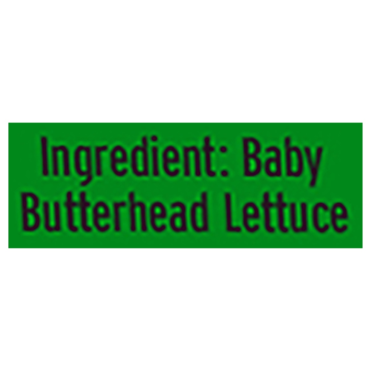 slide 4 of 6, Bright Farms Baby Butter Butterhead Lettuce, 4 oz