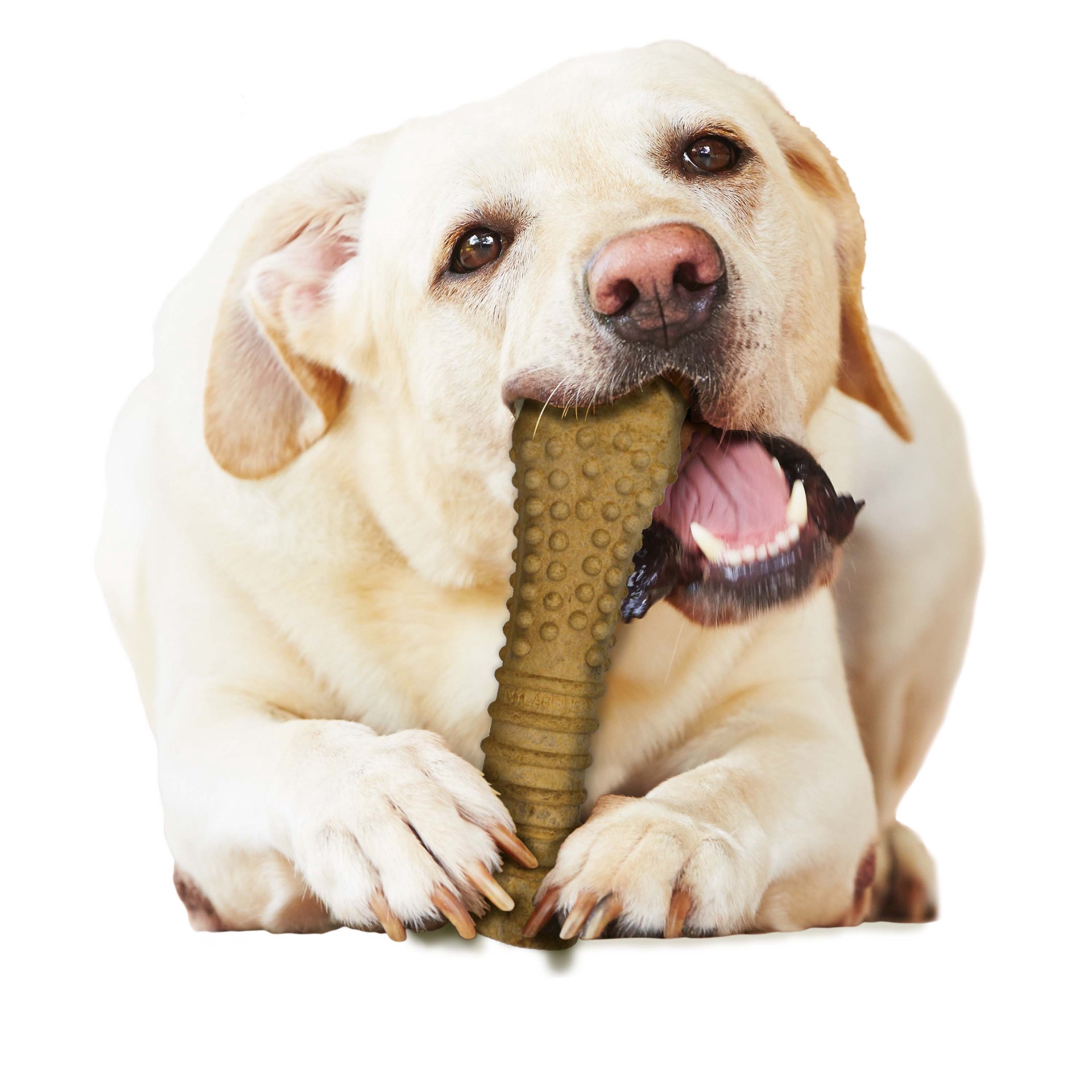 slide 8 of 10, Nylabone Healthy Edibles All-Natural Long Lasting Peanut Butter Dog Chew Treats X-Large/Souper - 50+ lbs.(1 Count), 1 ct