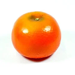 Gold Nugget Mandarins