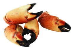 Central Market Fresh Stone Crab Claws