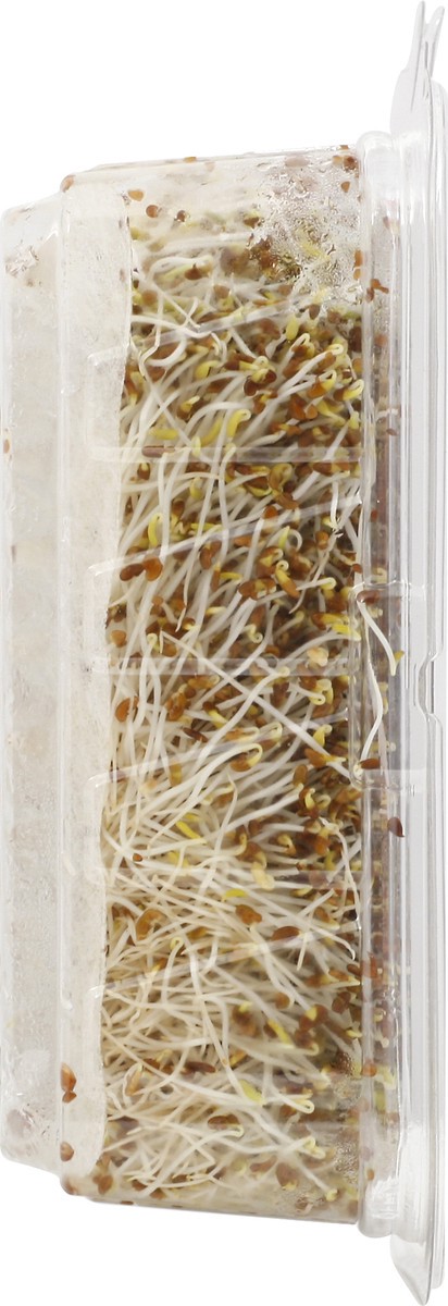 slide 2 of 8, Wild About Sprouts Alfalfa 3 oz, 3 oz