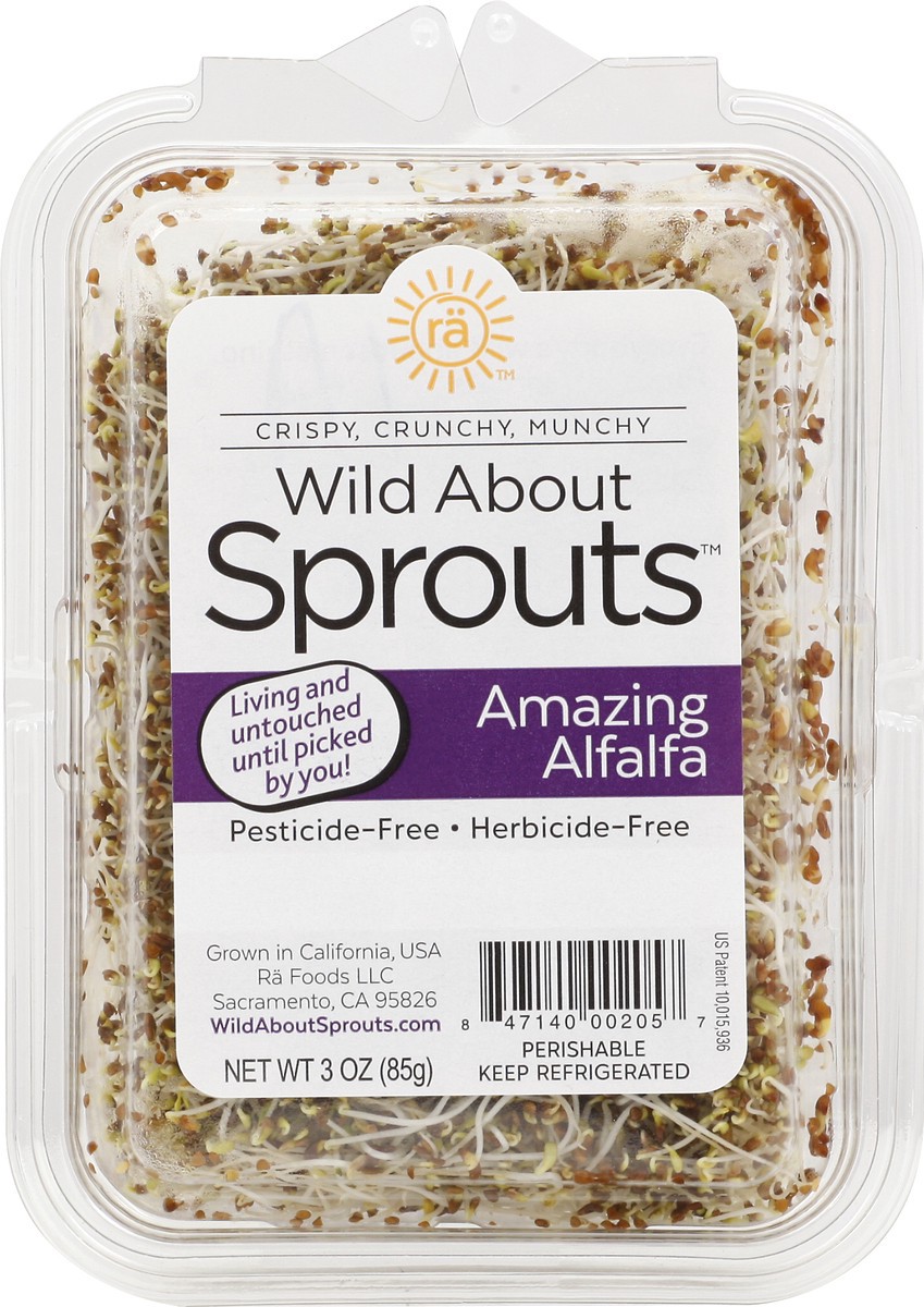 slide 6 of 8, Wild About Sprouts Alfalfa 3 oz, 3 oz