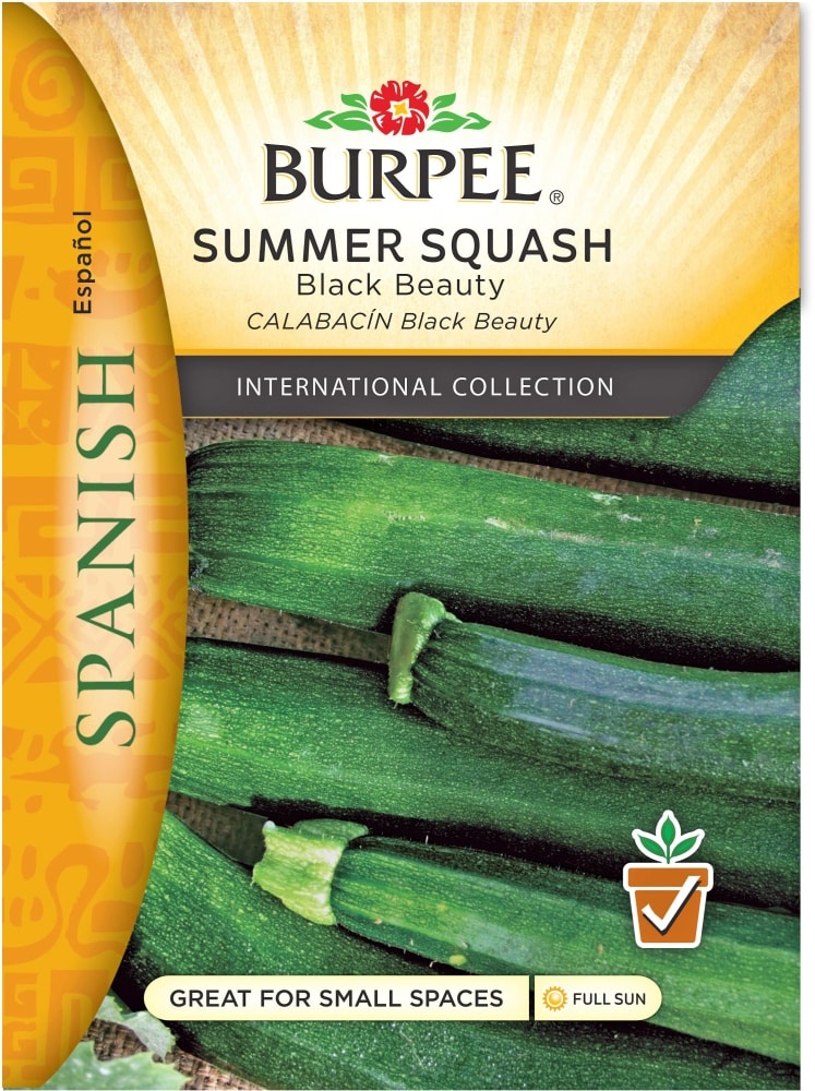 slide 1 of 1, Burpee Black Beauty Squash Seeds - Green, 1 ct