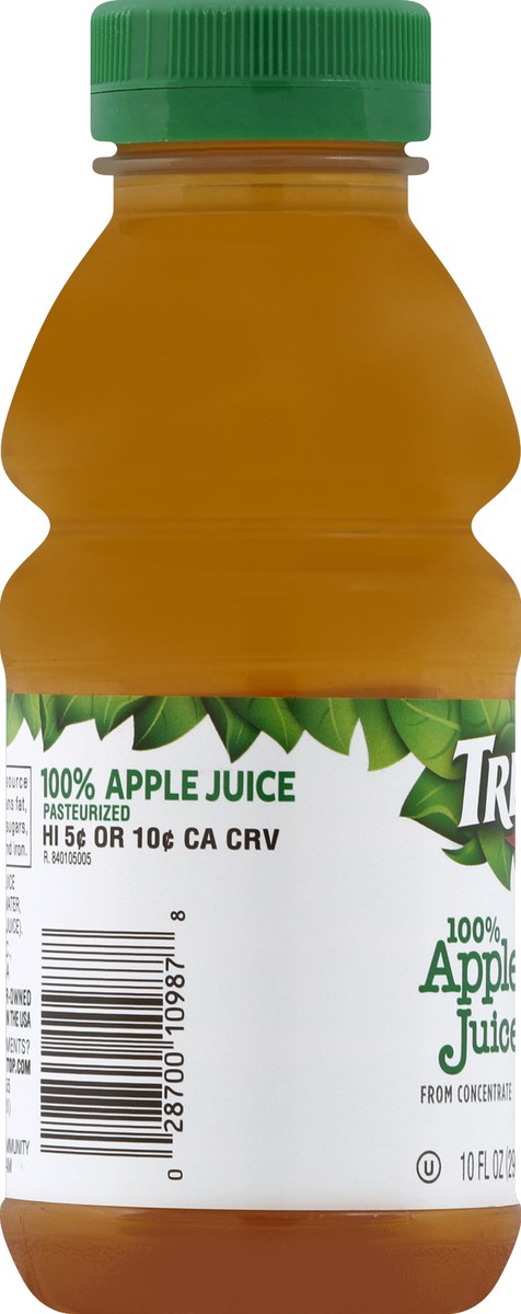 slide 3 of 6, Tree Top 100% Apple Juice from Concentrate 10 fl oz, 10 fl oz