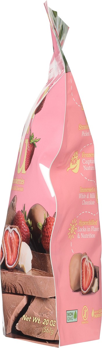 slide 5 of 9, Tru Fru Milk Chocolate Nature's Strawberries 20 oz, 20 oz