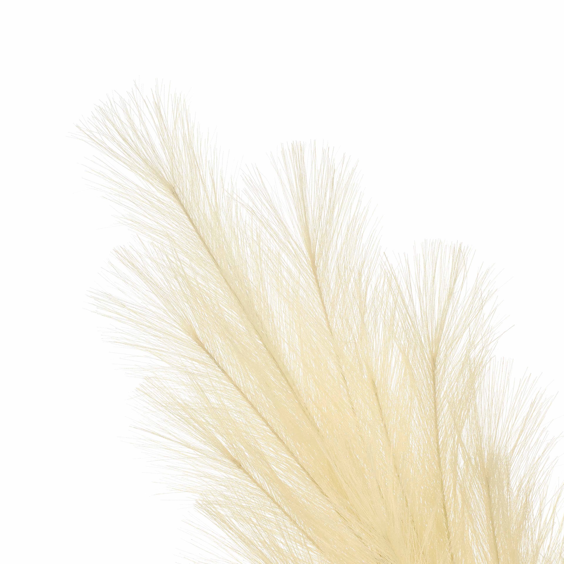 slide 2 of 3, 5ft. Cream Pampas Grass Stem By Ashland, 8 in x 8 in x 60 in