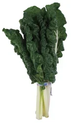 Fresh Organic Green Swiss Chard