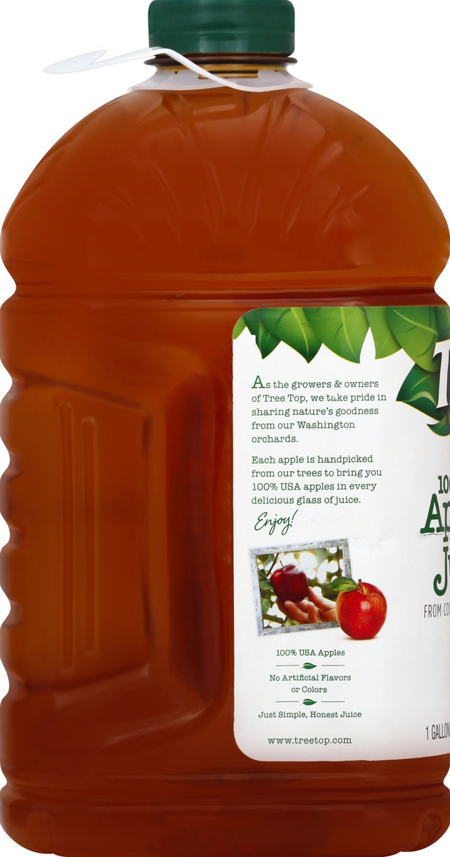 slide 4 of 7, Tree Top No Sugar Added Apple Juice 1 gal, 1 gal