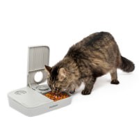 slide 4 of 13, PetSafe Eatwell 5 Meal Automatic Pet Feeder, 1 ct