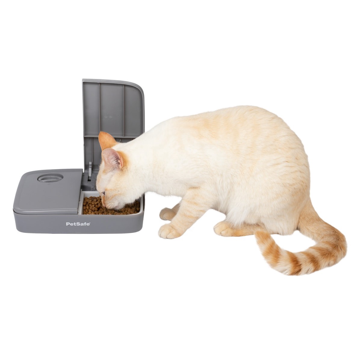slide 3 of 13, PetSafe Eatwell 5 Meal Automatic Pet Feeder, 1 ct