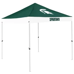 Michigan State Economy Canopy