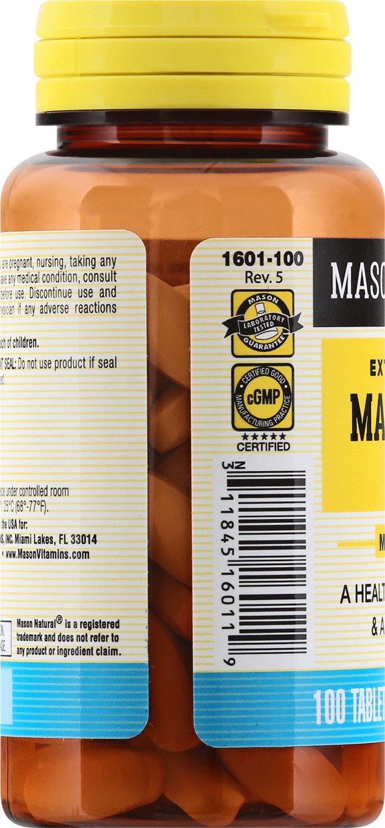 slide 6 of 9, Magnesium 500Mg Extra Strength, 100 ct