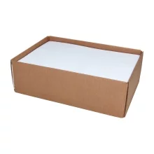 Hoffmaster Placemats