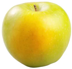 Organic Gingergold Apples