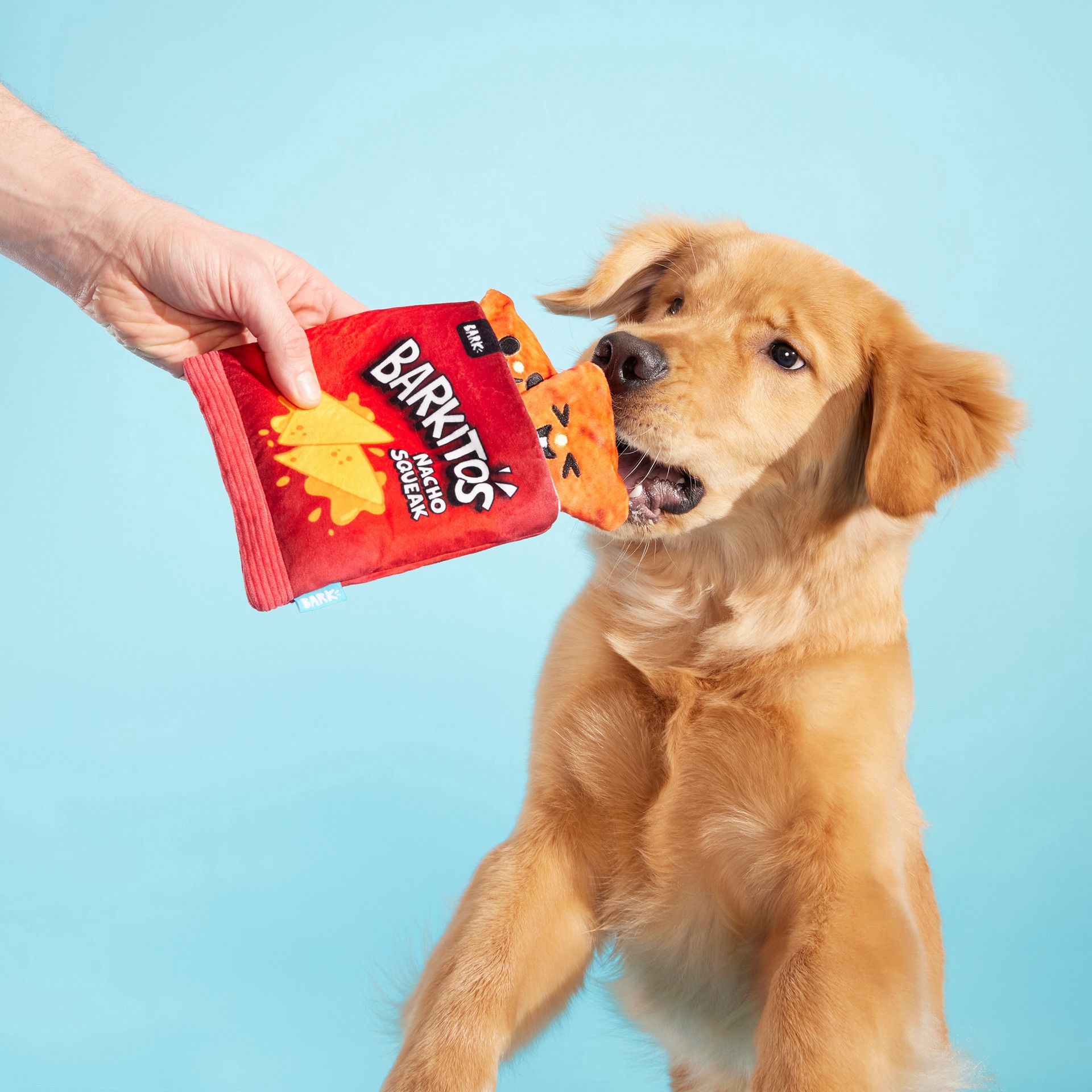 slide 5 of 5, BARK Pool Party Plush Dog Toy, 1 ct