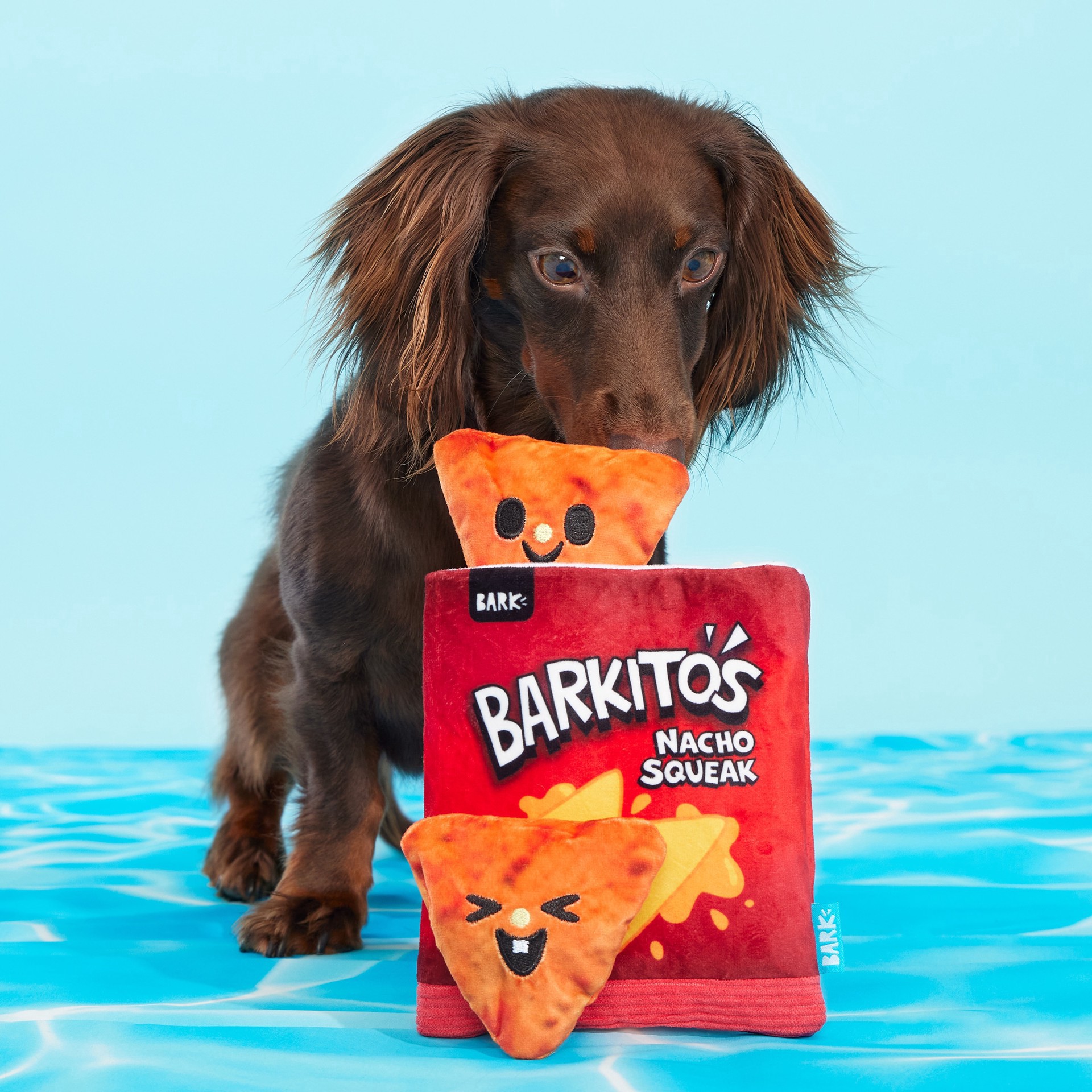 slide 2 of 5, BARK Pool Party Plush Dog Toy, 1 ct