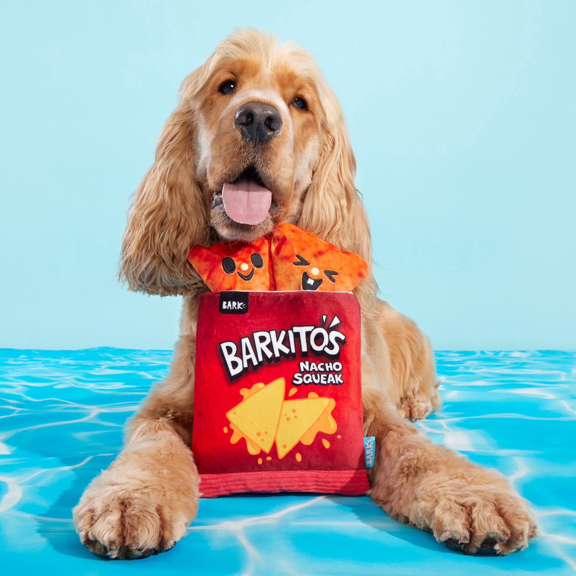 slide 4 of 5, BARK Pool Party Plush Dog Toy, 1 ct