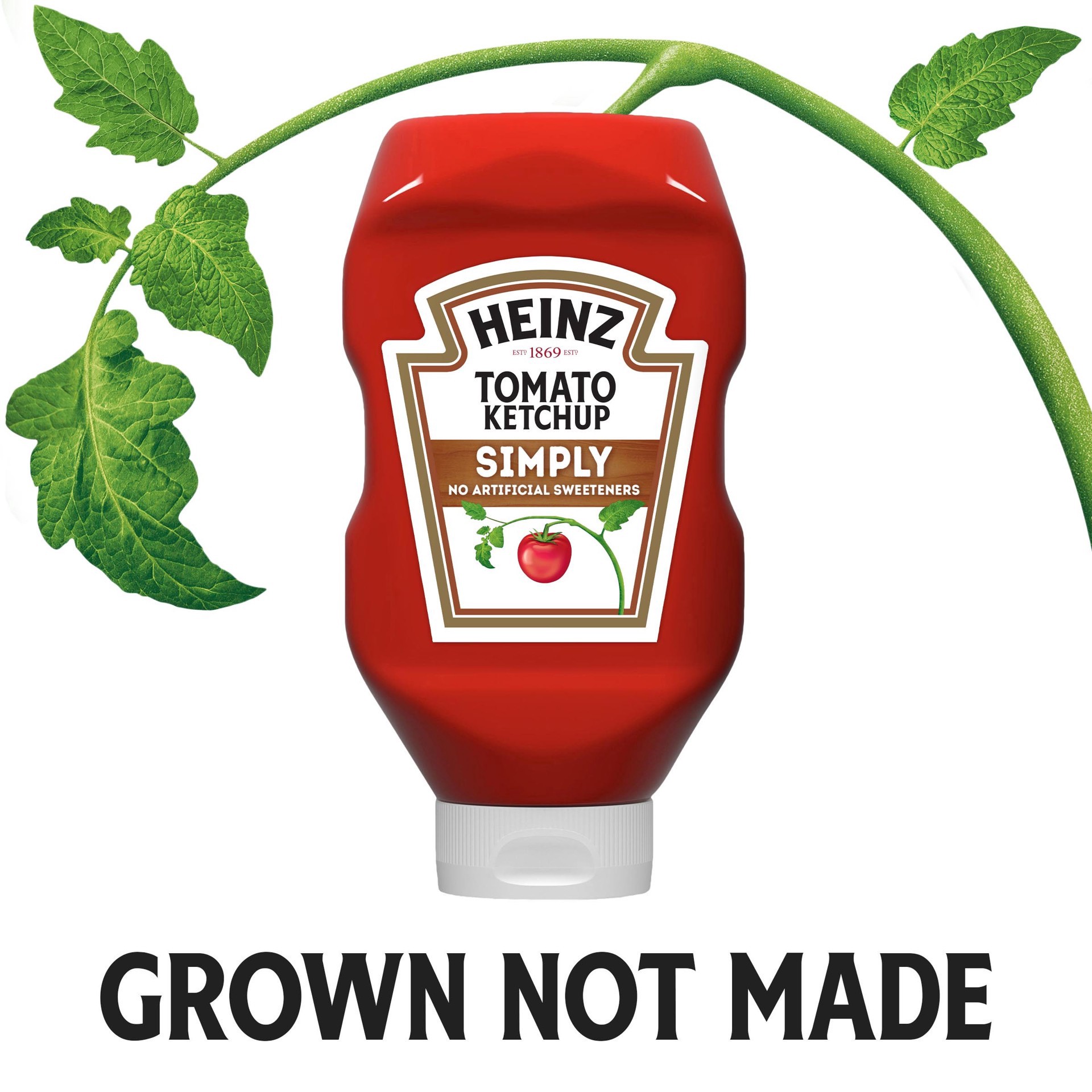 slide 9 of 11, Heinz Tomato Ketchup, 31 oz