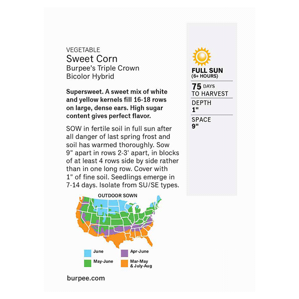 slide 4 of 5, Burpee Sweet Corn Burpee's Triple Crown Bicolor Hybrid Seeds, 1 ct