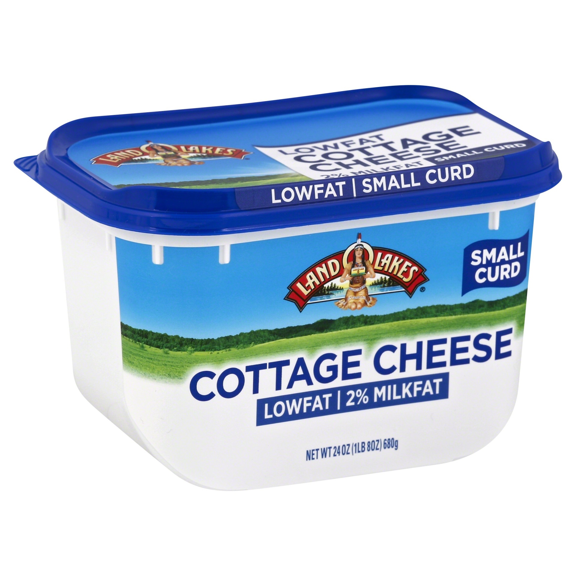 slide 1 of 1, Land O'Lakes Cottage Cheese 24 oz, 24 oz