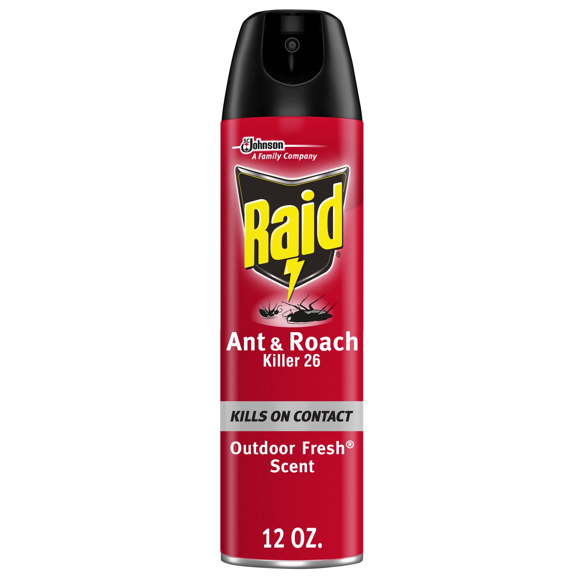 slide 5 of 5, Raid Ant/Roach Reg, 12 oz