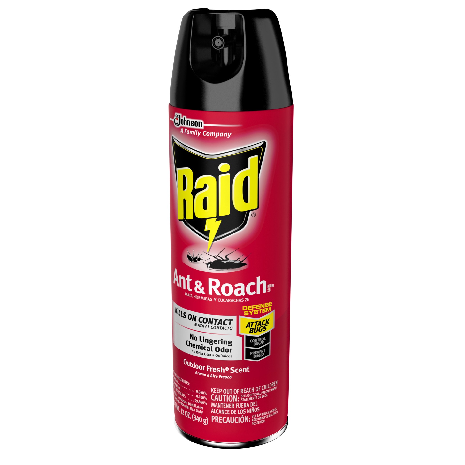 slide 2 of 5, Raid Ant/Roach Reg, 12 oz