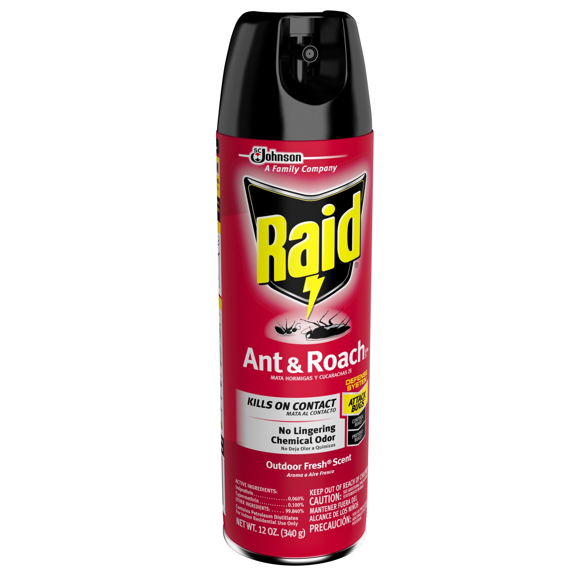 slide 4 of 5, Raid Ant/Roach Reg, 12 oz