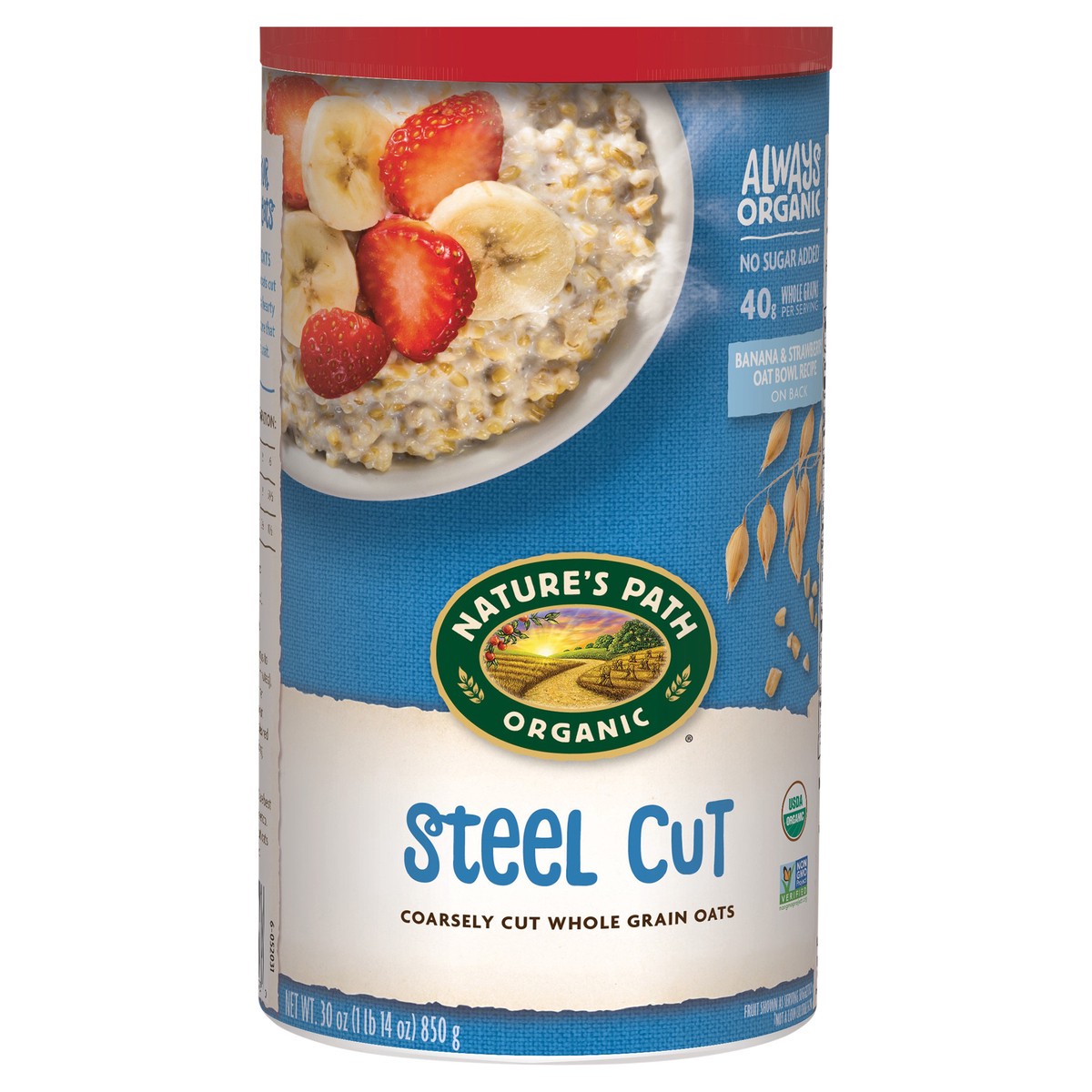 slide 1 of 1, Nature's Path Organic Steel Cut Oatmeal 30oz Canister, 30 oz