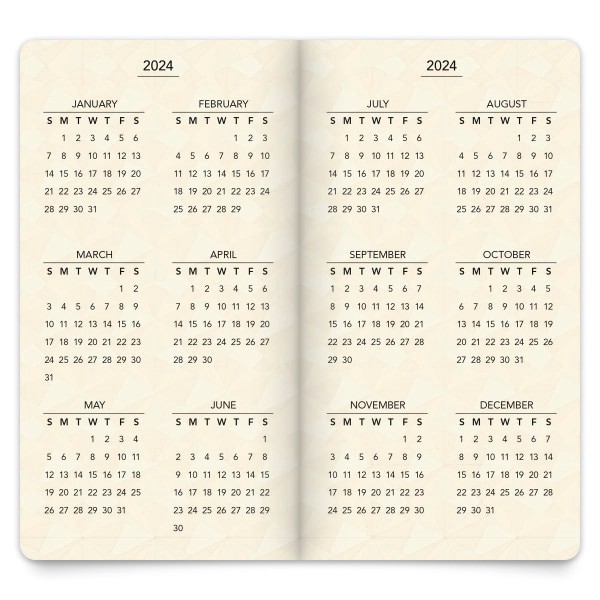 slide 3 of 10, BrownTrout 2-Year Large Print Monthly Pocket Planner, 3-1/2"" X 6-1/2"", Floral Fireworks, January 2024 To December 2025, 1 ct