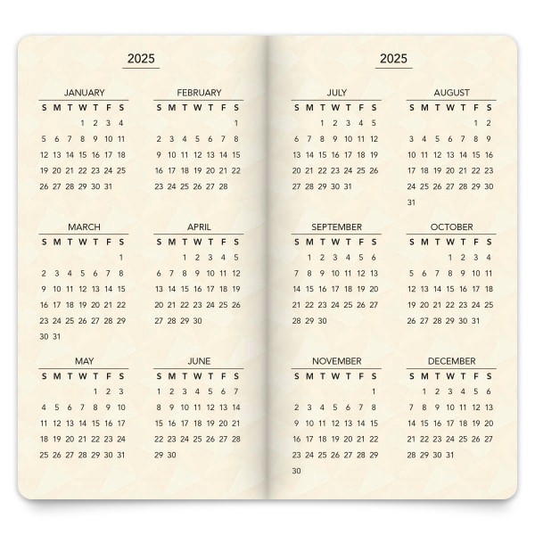 slide 10 of 10, BrownTrout 2-Year Large Print Monthly Pocket Planner, 3-1/2"" X 6-1/2"", Floral Fireworks, January 2024 To December 2025, 1 ct