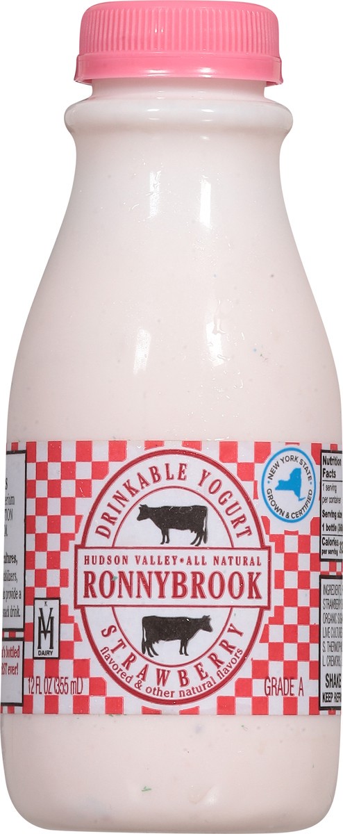 slide 11 of 15, Ronnybrook Farms Drinkable Strawberry Yogurt, 12 fl oz