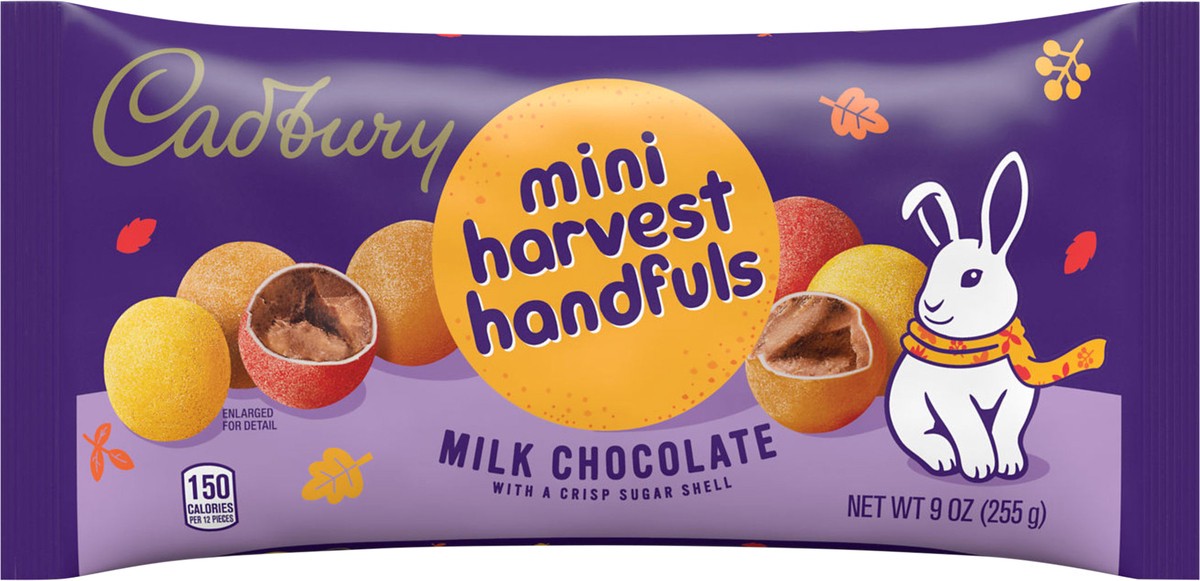 slide 3 of 3, CADBURY Mini Harvest Handfuls Milk Chocolate, Halloween Candy Bag, 9 oz, 9 oz